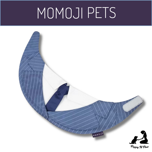 Momoji Des Voeux Bib - New Steel Blue