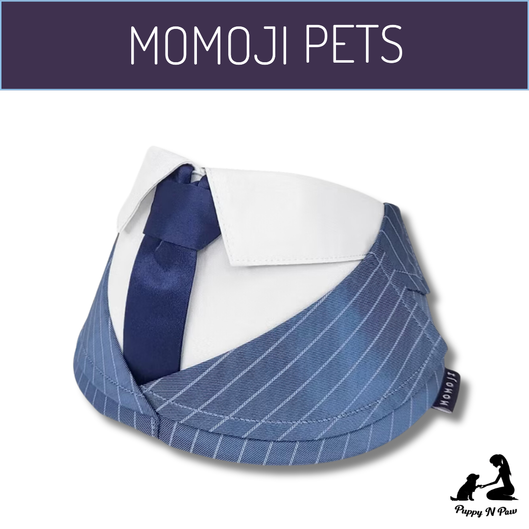 Momoji Pet Bib - Des Voeux ชุดสุนัข ชุดแมว ชุดสัตว์เลี้ยง ผ้าพันคอสุนัข ชุดสูท