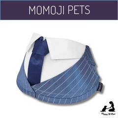 Momoji Pet Bib - Des Voeux ชุดสุนัข ชุดแมว ชุดสัตว์เลี้ยง ผ้าพันคอสุนัข ชุดสูท