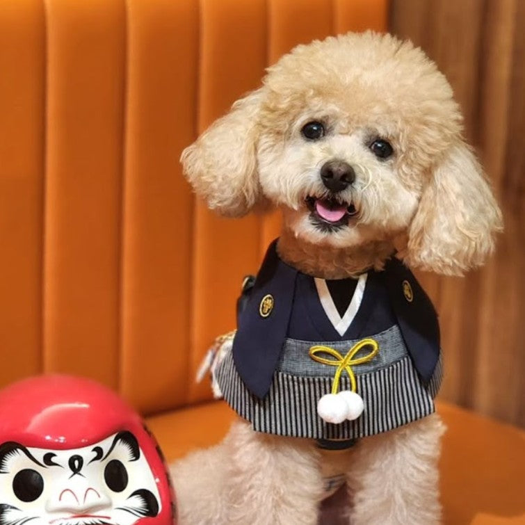 Momoji Nippori - ชุดญี่ปุ่น เสื้อผ้าสุนัข แมว สำหรับสัตว์เลี้ยง ชุดญี่ปุ่น