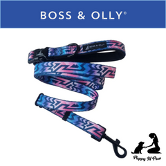 Boss & Olly - Ombre Active Harness