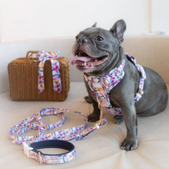 Boss & Olly - Orchid Active Harness