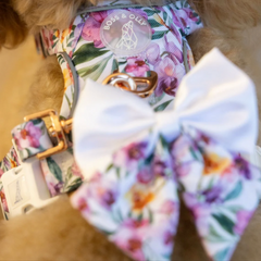 Boss & Olly - Orchid Active Harness