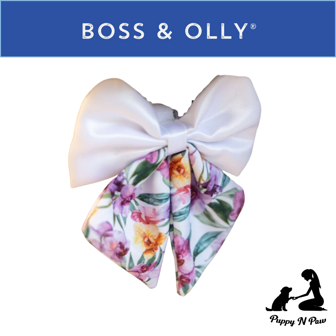 Boss & Olly - Orchid