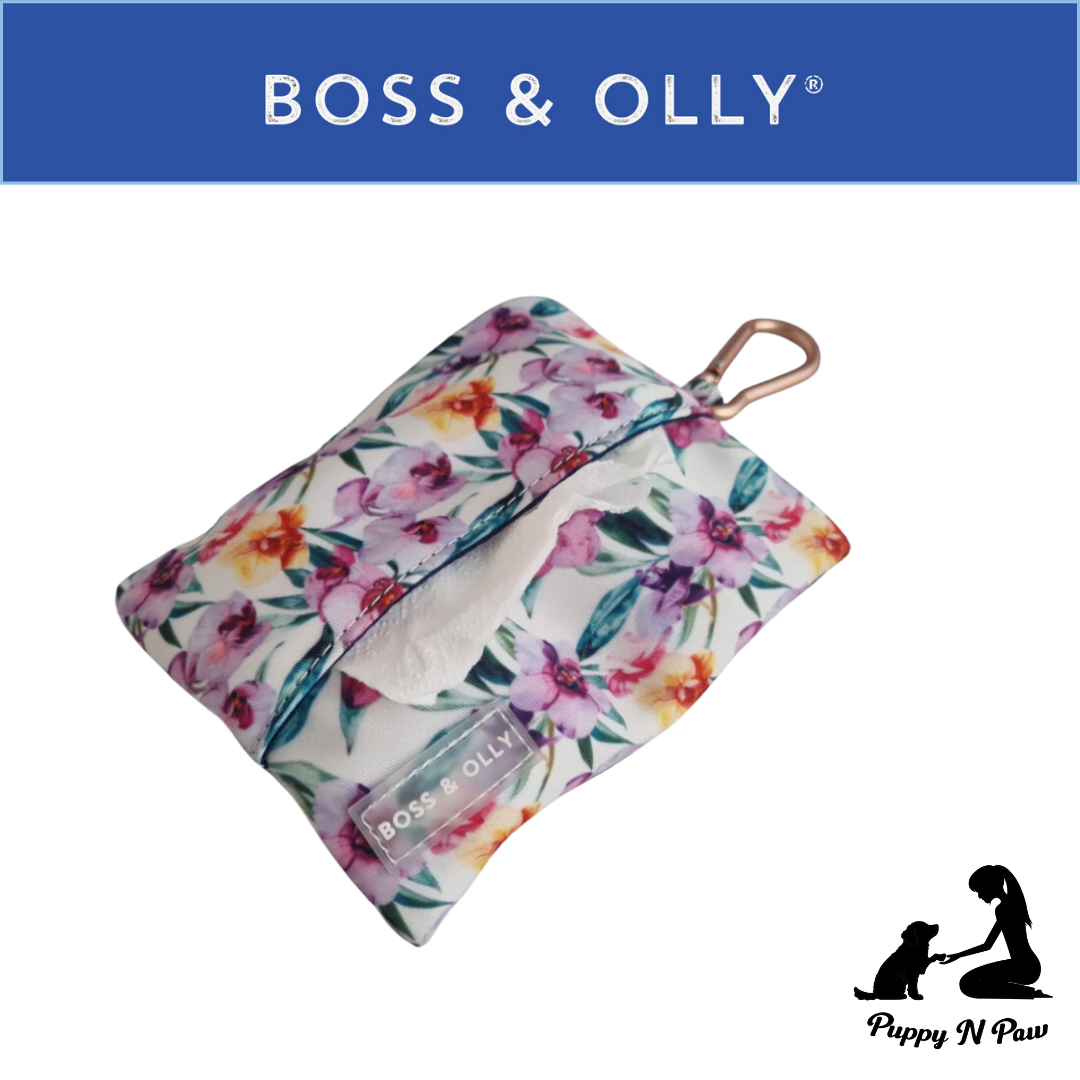 Boss & Olly - Orchid