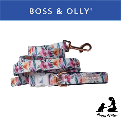 Boss & Olly - Orchid