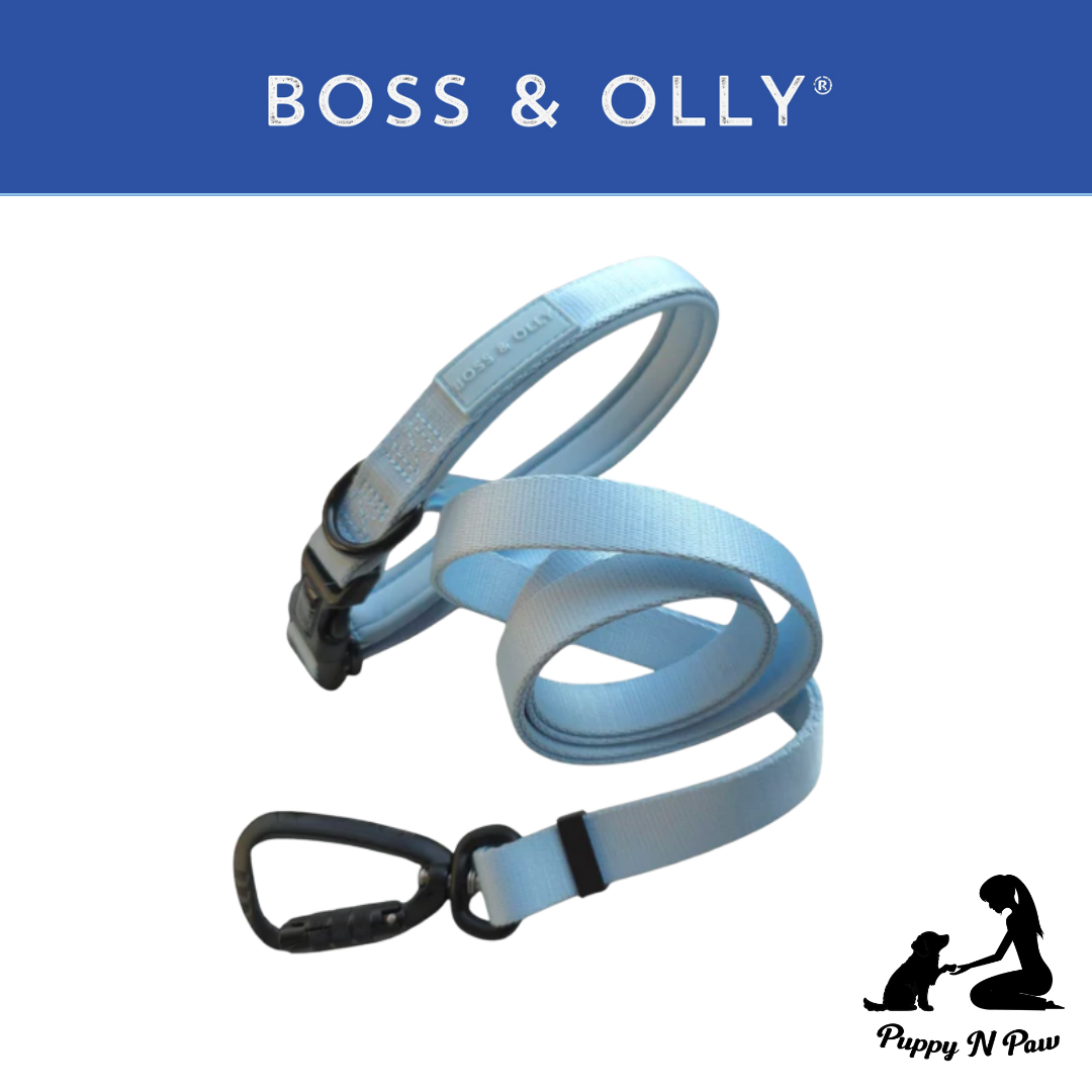 Boss & Olly - Pastel Blue