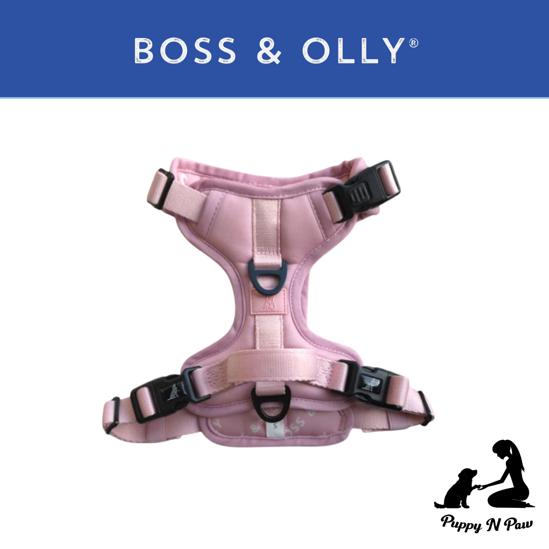 Boss & Olly - Pastel Pink