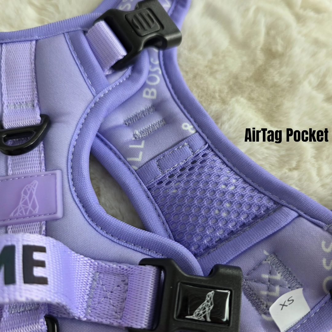 Pastel Purple Collection - Boss & Olly