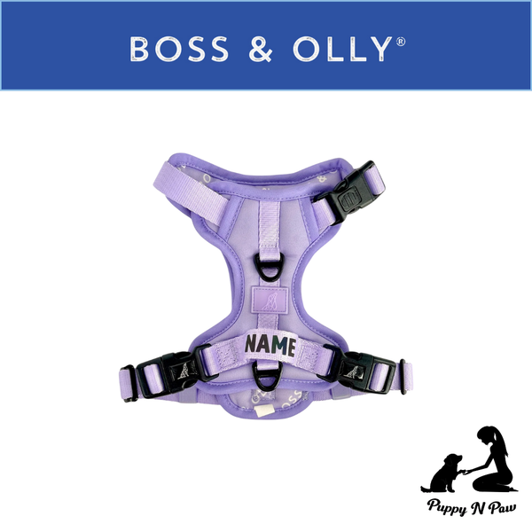 Pastel Purple Collection - Boss & Olly