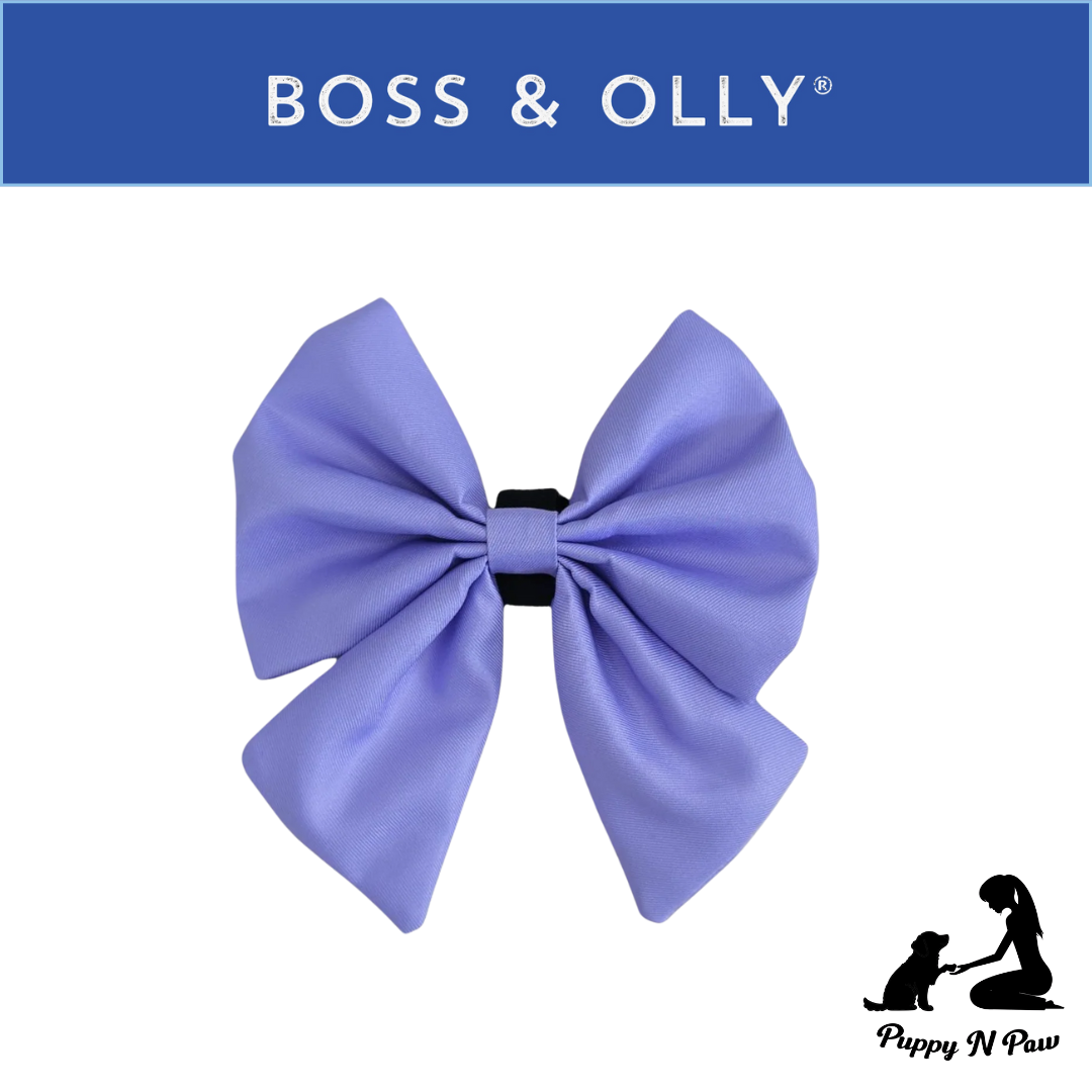 Pastel Purple Collection - Boss & Olly