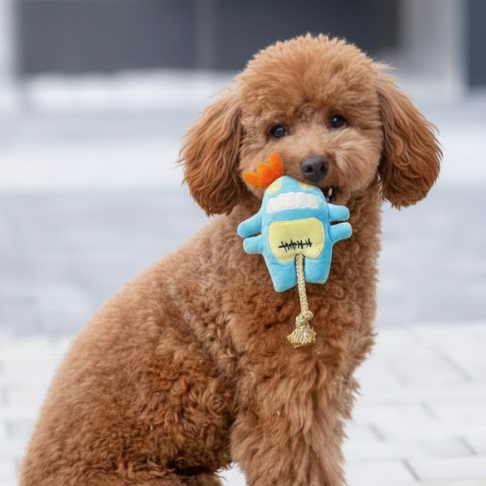 Puppy N Paw 4 Monsters Plush Toy ของเล่นสุนัข ตุ๊กตาของเล่นมีเชือก