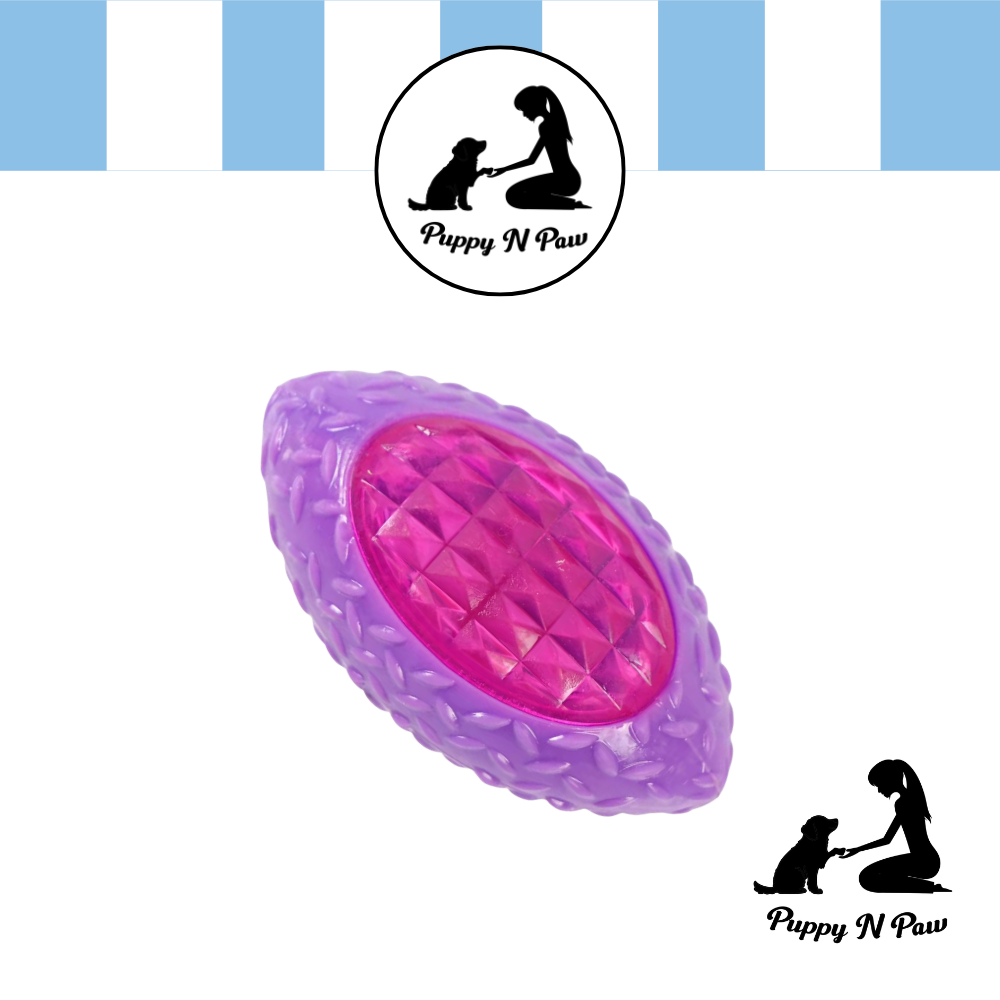 Puppy N Paw Small Rugby Ball Bite Resistant ของเล่นสุนัข ของกัด สำหรับสัตว์เลี้ยง
