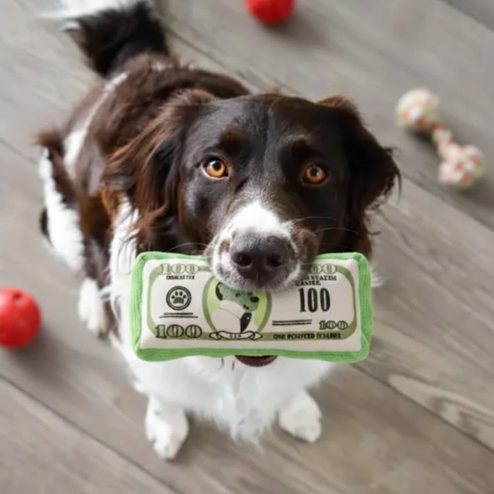 Puppy N Paw Dollars Dog Club Plush Toy for Pets ของเล่นสุนัข บีบมีเสียง สำหรับกัดเล่น