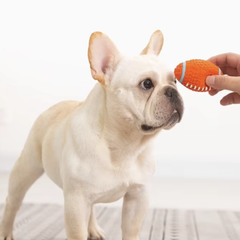 Puppy N Paw Orange Rugby Ball ของเล่นสำหรับสุนัข บีบมีเสียง