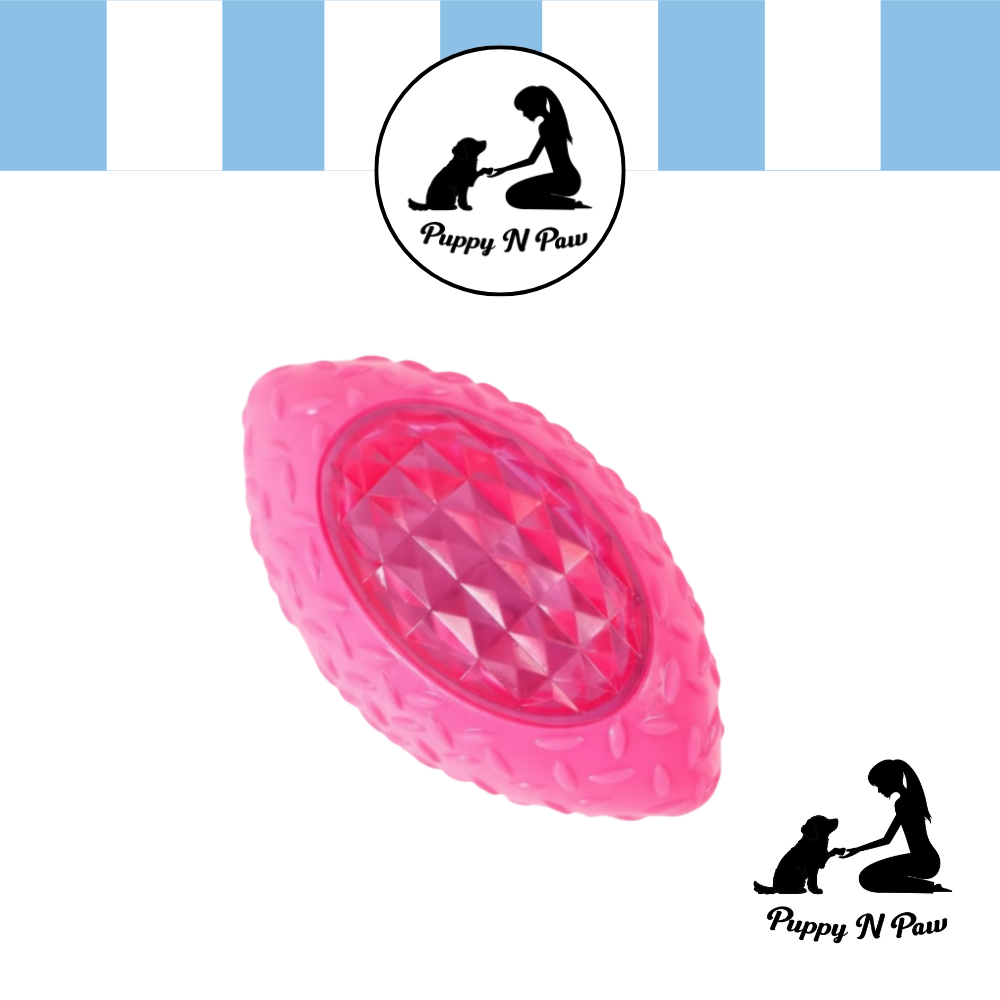 Puppy N Paw Small Rugby Ball Bite Resistant ของเล่นสุนัข ของกัด สำหรับสัตว์เลี้ยง