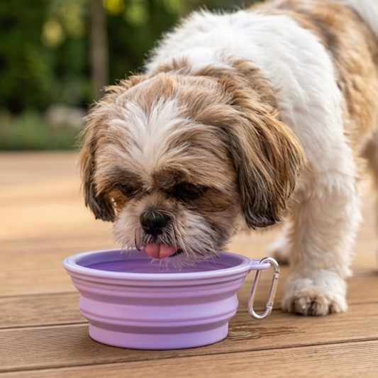 Puppy N Paw 350ml Pastel Foldable Bowl ชามอาหารซิลิโคนแบบพกพา พับได้ ทนอุณหภูมิได้สูง ใช้สำหรับสัตว์เลี้ยง