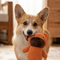 Puppy N Paw Bears with Speaky Plush Toy for Pets ของเล่นสำหรับสุนัข กัด มีเสียง