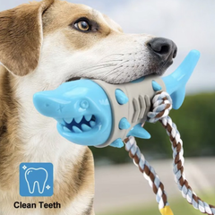 Puppy N Paw Biting Shark for Teeth Cleaning ของเล่นสุนัข ฝึกทักษะ ซ่อนขนม แข็งแรง เหมาะสำหรับกัด