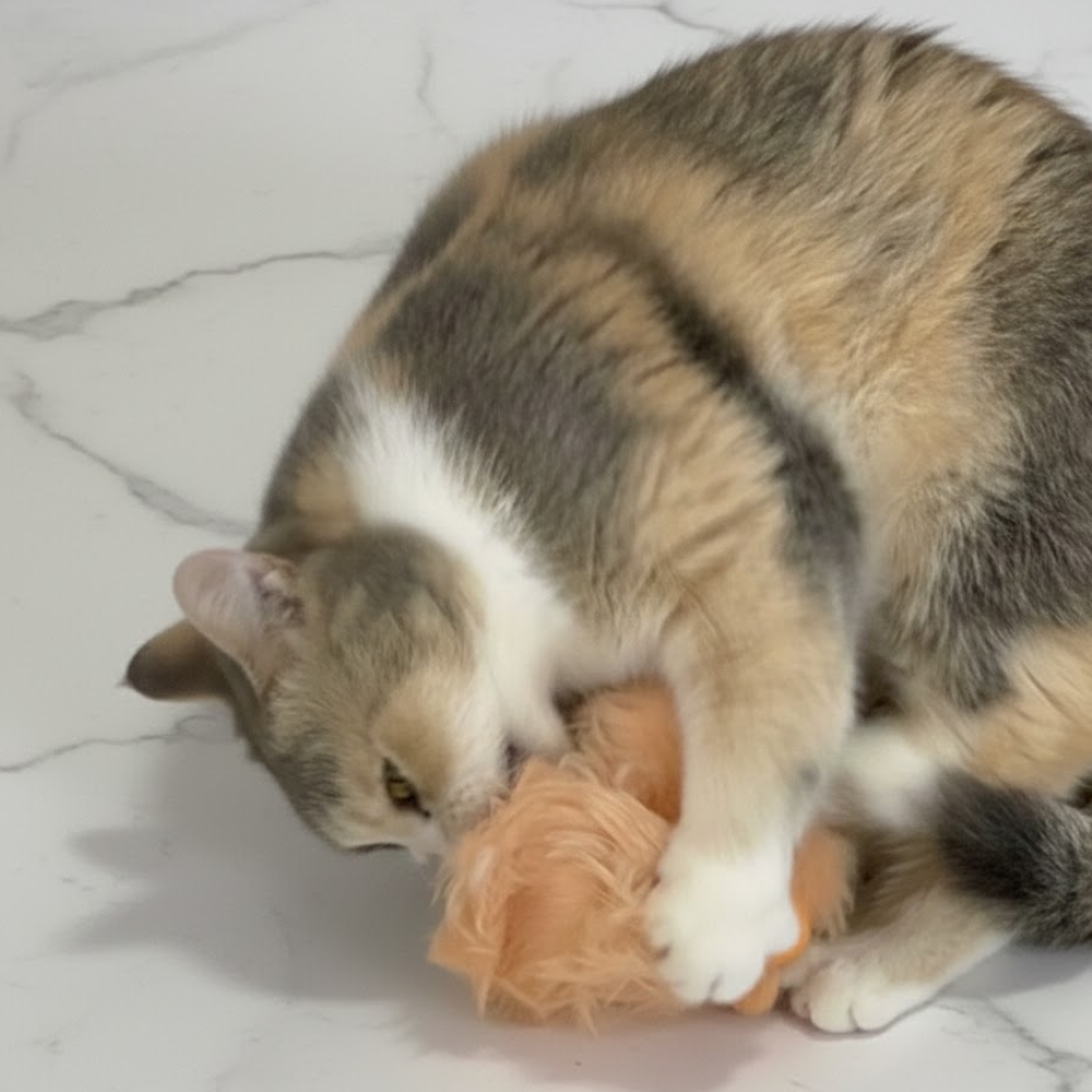 Puppy N Paw Furry Friends Plush Toy ของเล่นน้องแมว ผิวสัมผัสนุ่มนิ่ม มีแคทนิป