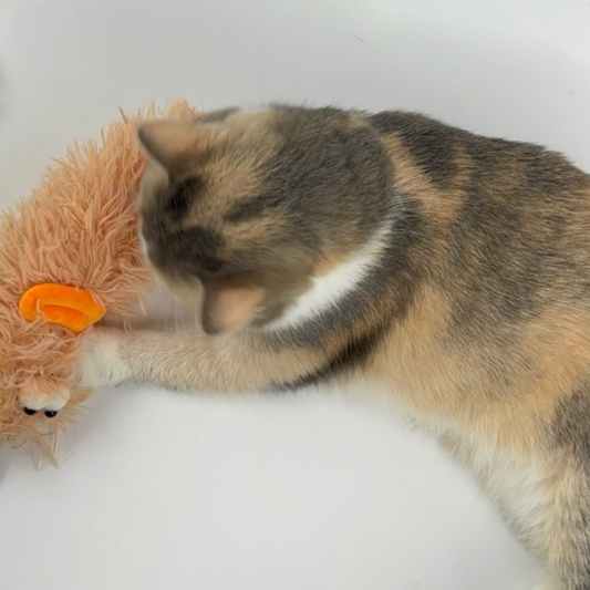 Puppy N Paw Furry Friends Plush Toy ของเล่นน้องแมว ผิวสัมผัสนุ่มนิ่ม มีแคทนิป