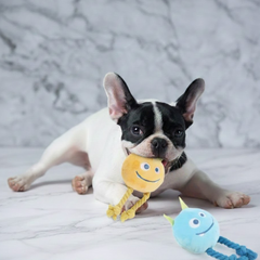 Puppy N Paw Smile Monster Plush Toy ของเล่นฝึกทักษะ สำหรับสุนัข กัดมีเสียง ตุ๊กตามีเชือก