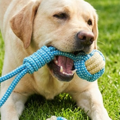 Puppy N Paw Rope Ball ของเล่นหมา เชือกสำหรับกัด ฝึกทักษะสุนัข