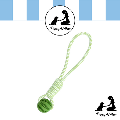 Puppy N Paw Rope with Teeth Cleaning Ball for Pets