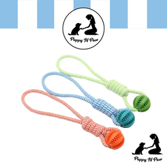 Puppy N Paw Rope with Teeth Cleaning Ball for Pets