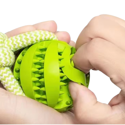 Puppy N Paw Rope with Teeth Cleaning Ball for Pets