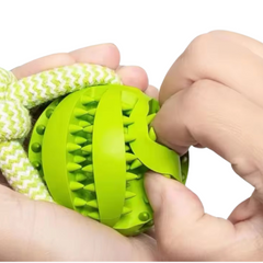 Puppy N Paw Rope with Teeth Cleaning Ball for Pets
