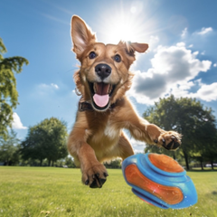 Puppy N Paw Dog Toy Big Rugby Ball ลูกบอลสุนัข ของกัดสุนัข ของเล่นหมาใหญ่แข็งแรง