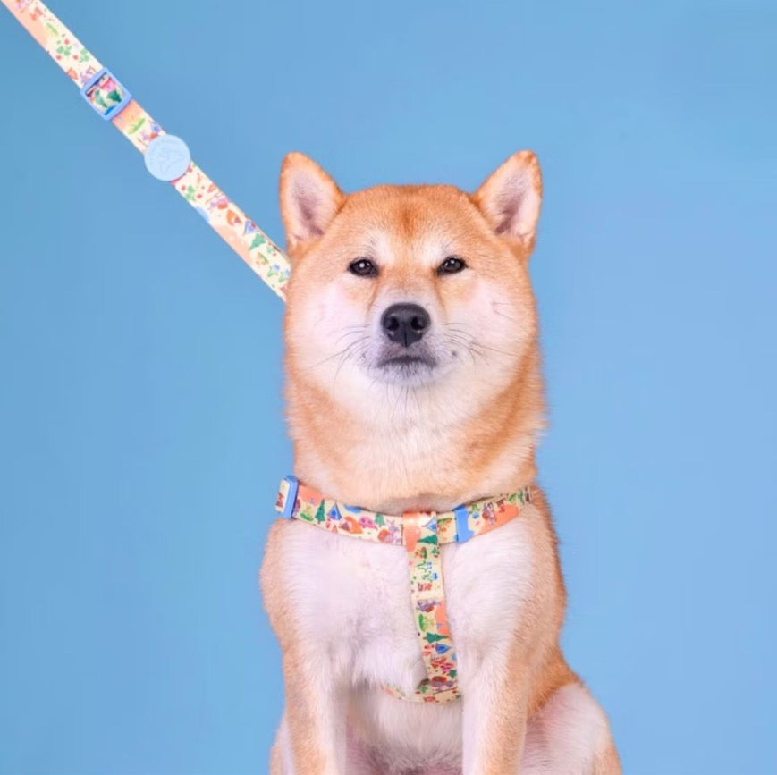 The Lonely Rabbit ปลอกคอ รัดอก สายจูง สำหรับสัตว์เลี้ยง สุนัข หมาใหญ่ แมว Collar Leash Harness