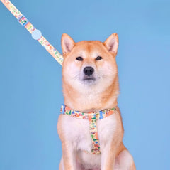 The Lonely Rabbit ปลอกคอ รัดอก สายจูง สำหรับสัตว์เลี้ยง สุนัข หมาใหญ่ แมว Collar Leash Harness