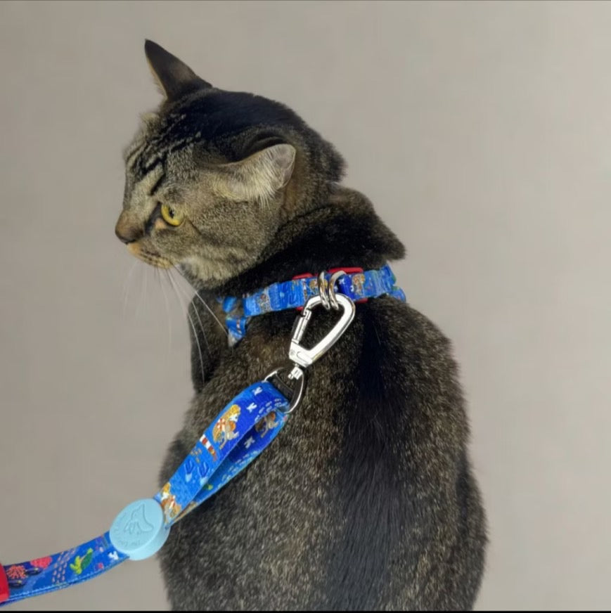 The Lonely Rabbit ปลอกคอ รัดอก สายจูง สำหรับสัตว์เลี้ยง สุนัข หมาใหญ่ แมว Collar Leash Harness