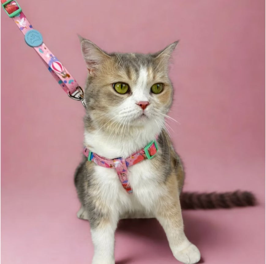 The Lonely Rabbit ปลอกคอ รัดอก สายจูง สำหรับสัตว์เลี้ยง สุนัข หมาใหญ่ แมว Collar Leash Harness