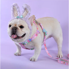 The Lonely Rabbit ปลอกคอ รัดอก สายจูง สำหรับสัตว์เลี้ยง สุนัข หมาใหญ่ แมว Collar Leash Harness
