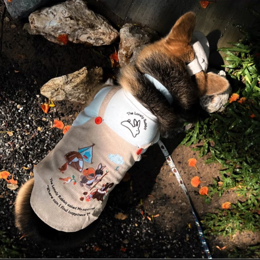 The Lonely Rabbit First Adventure ชุดเอี๊ยมสำหรับน้องหมา ชุดหมา ชุดแมว ชุดสุนัข ชุดสัตว์เลี้ยง