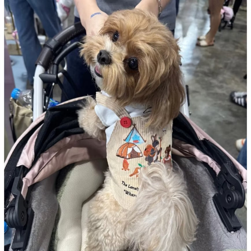 The Lonely Rabbit First Adventure ชุดเอี๊ยมสำหรับน้องหมา ชุดหมา ชุดแมว ชุดสุนัข ชุดสัตว์เลี้ยง