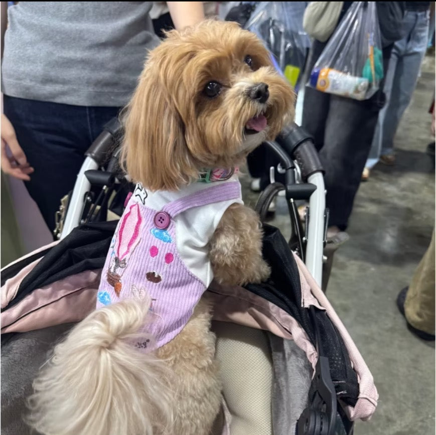 The Lonely Rabbit First Adventure ชุดเอี๊ยมสำหรับน้องหมา ชุดหมา ชุดแมว ชุดสุนัข ชุดสัตว์เลี้ยง