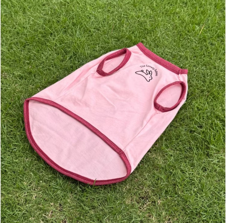 The Lonely Rabbit First Adventure Shirt - เสื้อยืดสำหรับสัตว์เลี้ยง สุนัขแมว