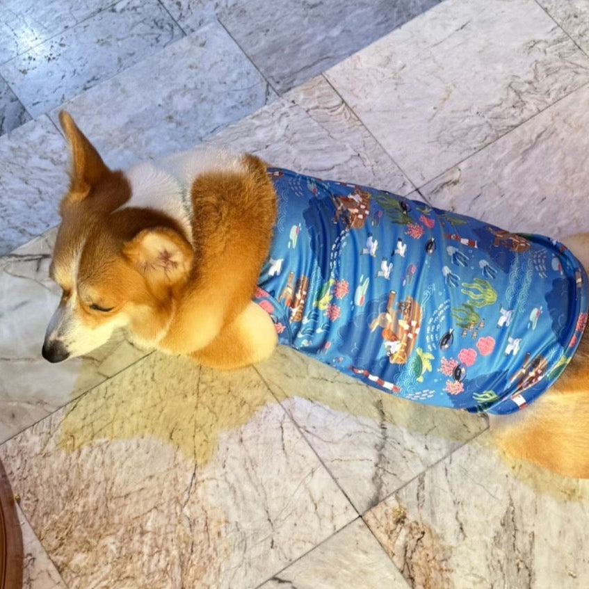 The Lonely Rabbit - First Adventure Strappy Top - เสื้อผ้าสัตว์เลี้ยง เสื้อเย็นสุนัข ชุดกระต่าย Cooling Tank