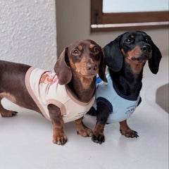 The Lonely Rabbit First Adventure Shirt - เสื้อยืดสำหรับสัตว์เลี้ยง สุนัขแมว