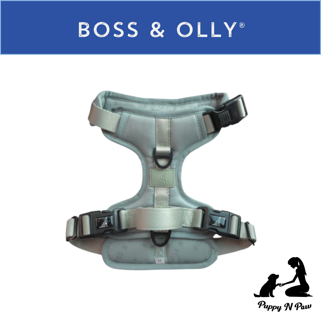 Boss & Olly - Pastel Sage