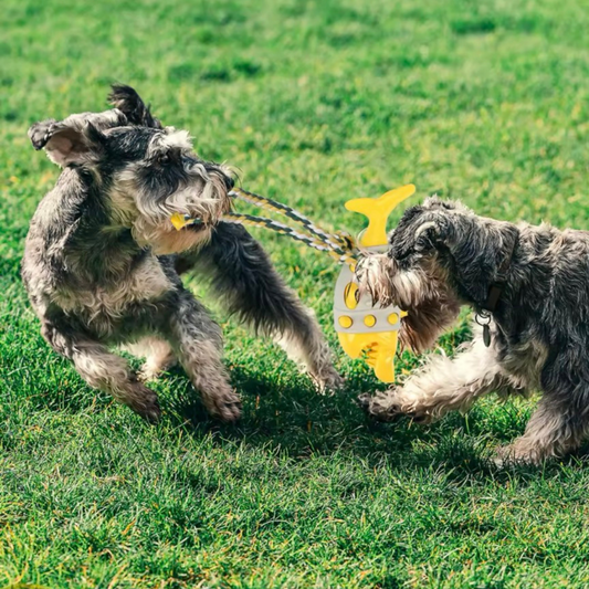 Puppy N Paw Biting Shark for Teeth Cleaning ของเล่นสุนัข ฝึกทักษะ ซ่อนขนม แข็งแรง เหมาะสำหรับกัด