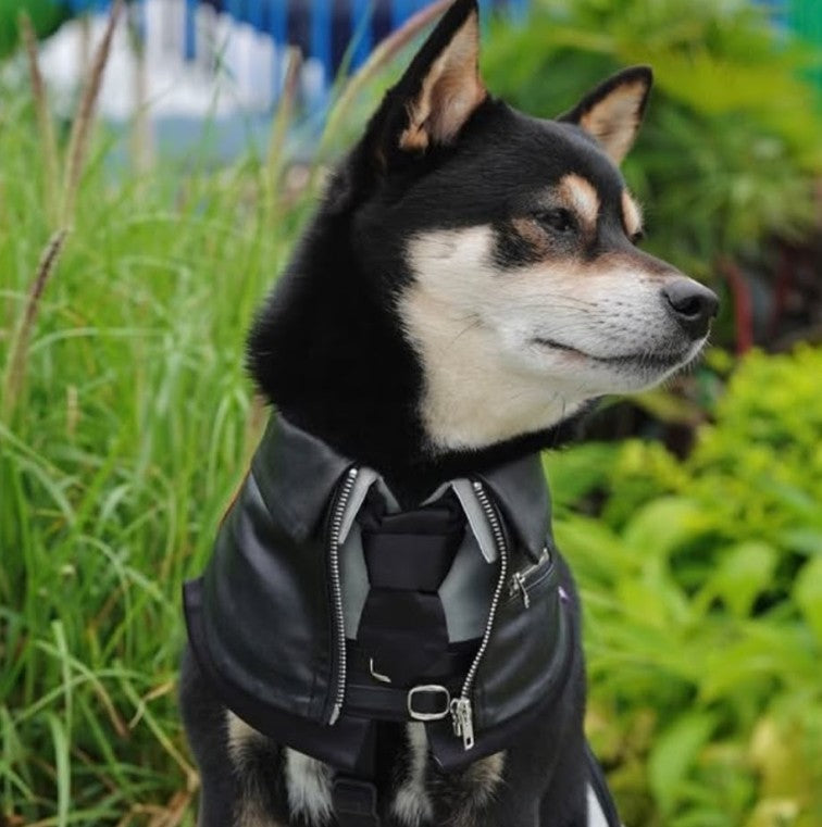 Momoji Shin Bib - Charcoal Black ชุดน้องหมาน้องแมว เสื้อผ้าสุนัข ผ้าผันคอหนัง สีดำ Jacket for Pets