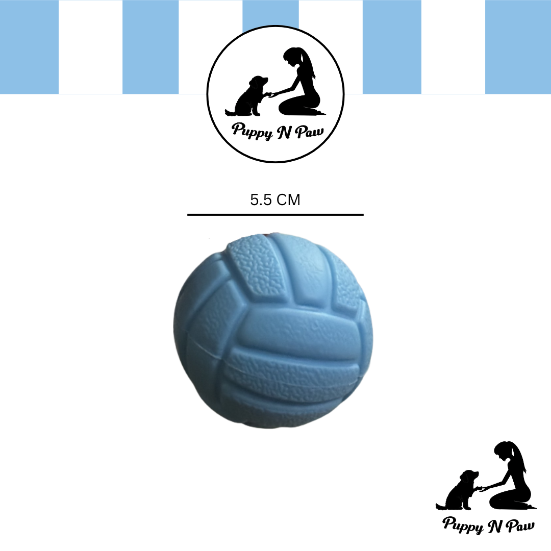 Puppy N Paw Small Ball with Squeaky