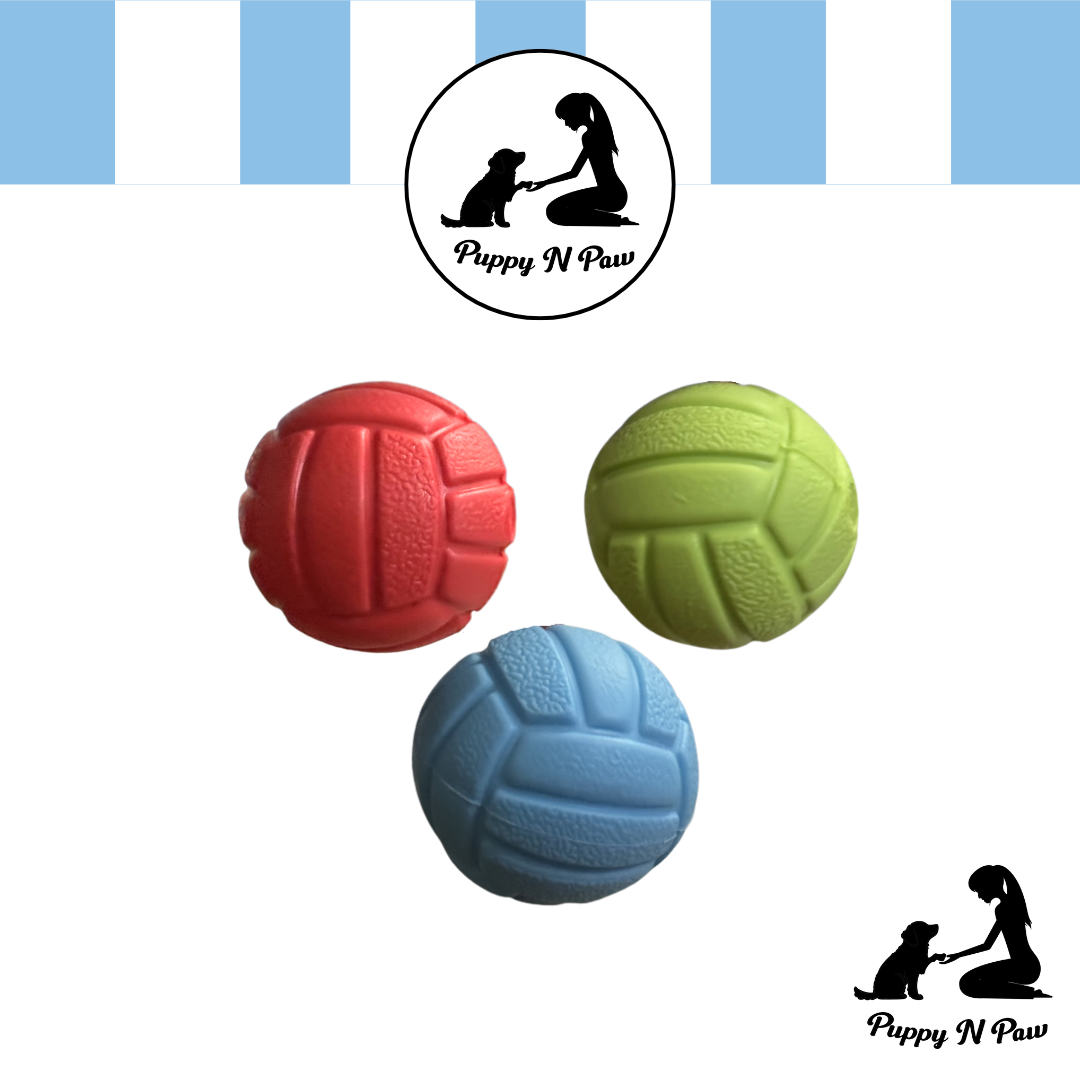 Puppy N Paw Small Ball with Squeaky