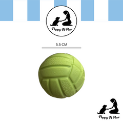 Puppy N Paw Small Ball with Squeaky