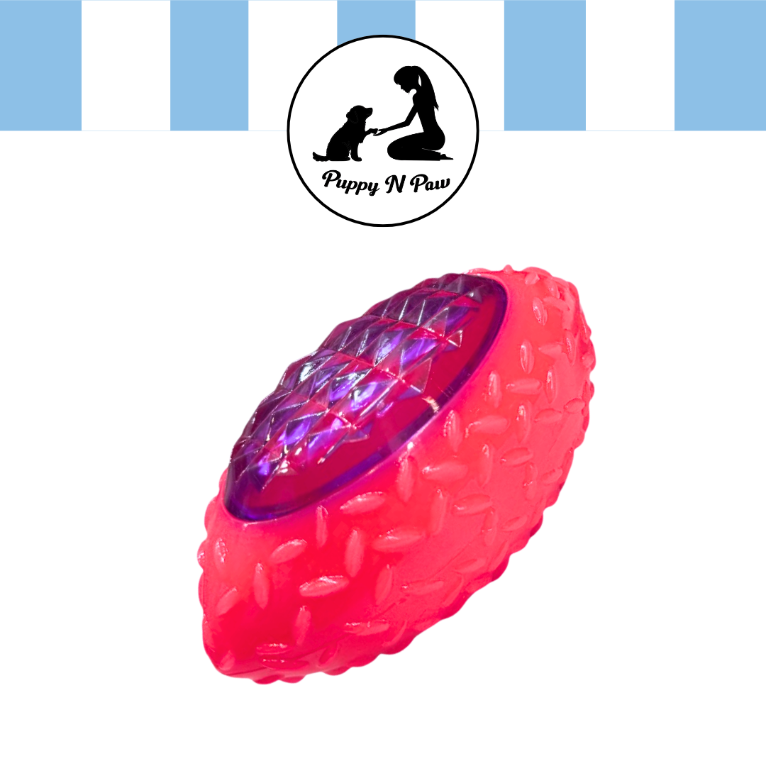 Puppy N Paw Small Rugby Ball Bite Resistant for Pets